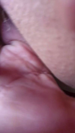 Centolo webcam model stream image