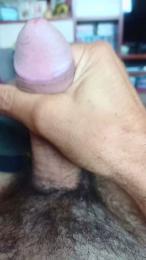Plinplinn webcam model stream image