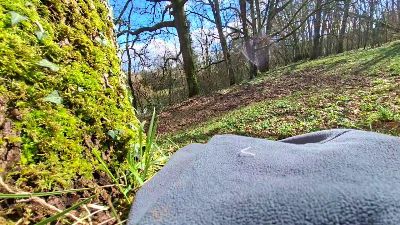 remi06 webcam model stream image