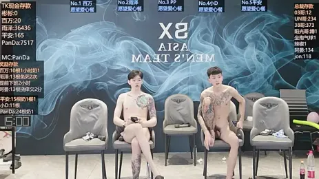 SX-008 webcam model stream image