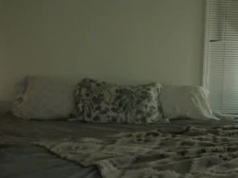 trickquestion webcam model stream image