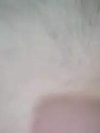 JoNnyAraBicc webcam model stream image