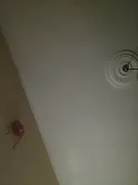 pasajuis webcam model stream image