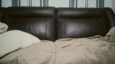 June_cat webcam model stream image