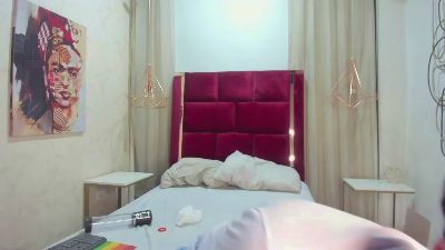 BryCams3 webcam model stream image
