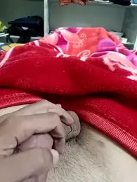 pn12345 webcam model stream image