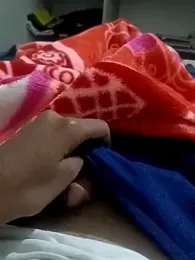 pn12345 webcam model stream image