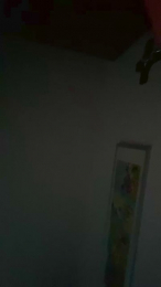blueeyespilot webcam model stream image