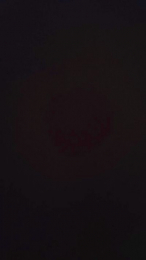 menny53788 webcam model stream image