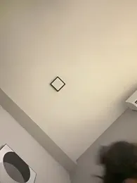 Geovana_blan webcam model stream image