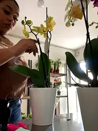 PUSHYLATE webcam stripchat model stream image