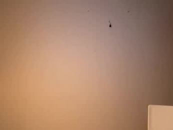 gooncock4life webcam model stream image