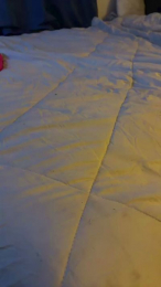 Evastrip webcam model stream image