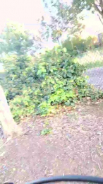 Bwcforyou87 webcam model stream image