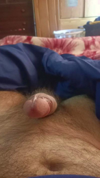 Felinoshere webcam model stream image
