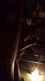 Modelandxc webcam model stream image