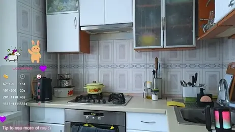 __Samer_ webcam model stream image