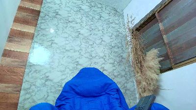 sebas_mdss webcam model stream image