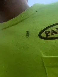 charactrzero webcam model stream image