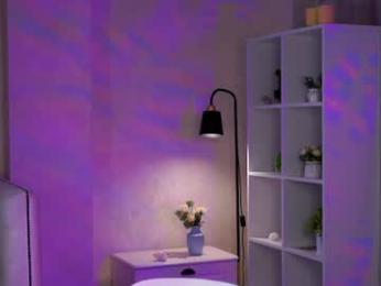 pazrapacki webcam model stream image