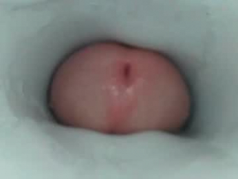 jeffrodgerschaturbat webcam chaturbate model stream image