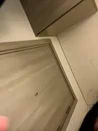 MEOW_MEO webcam model stream image