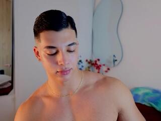 Troye Williams webcam model stream image