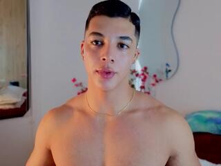 Troye Williams webcam model stream image