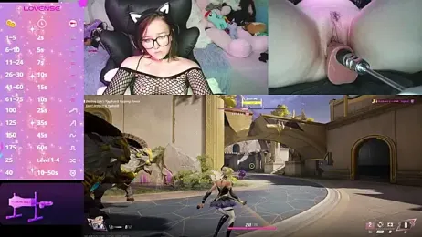 molliefurry webcam model stream image
