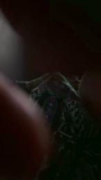 Klt0805 webcam model stream image