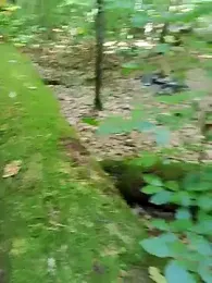 erotica_eva webcam model stream image