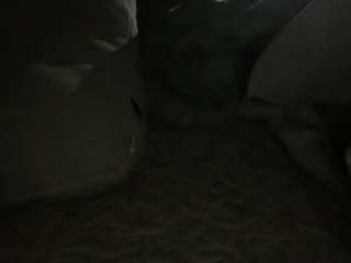 ighhighwa89 webcam camsoda model stream image