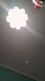 mica224 webcam model stream image