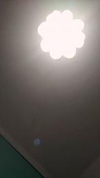 mica224 webcam model stream image