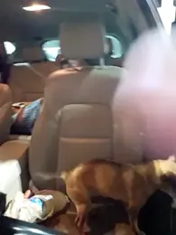 FrankieFuckMe webcam model stream image