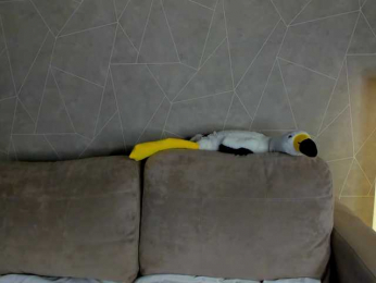 Cheryl-Kelly webcam model stream image