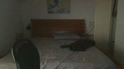 dalia301 webcam model stream image
