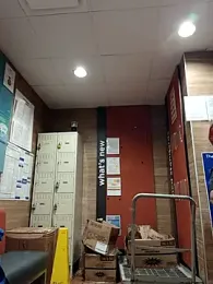 Dropdingo webcam stripchat model stream image