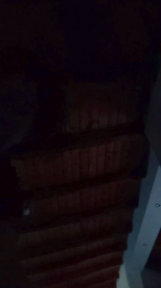 vogliadi6 webcam model stream image