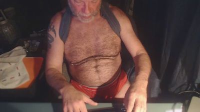ptibear1 webcam model stream image