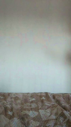 Dennyflower webcam model stream image