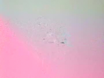 mikeandcolie webcam model stream image