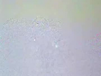 mikeandcolie webcam model stream image