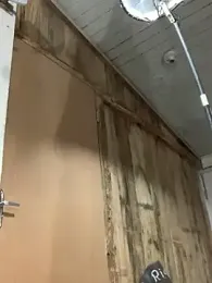 raphadoors19 webcam model stream image