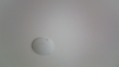 terrone46 webcam model stream image