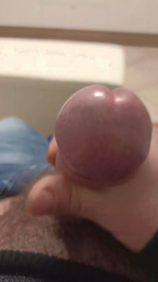 terrone46 webcam model stream image