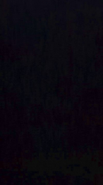 Vanillasky420 webcam cam4 model stream image