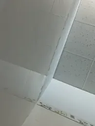 Nabi_squirt webcam model stream image