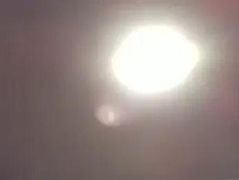 MrDaddyBbSnake webcam stripchat model stream image