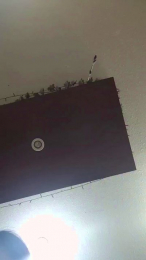 Gatitapeliroja webcam model stream image